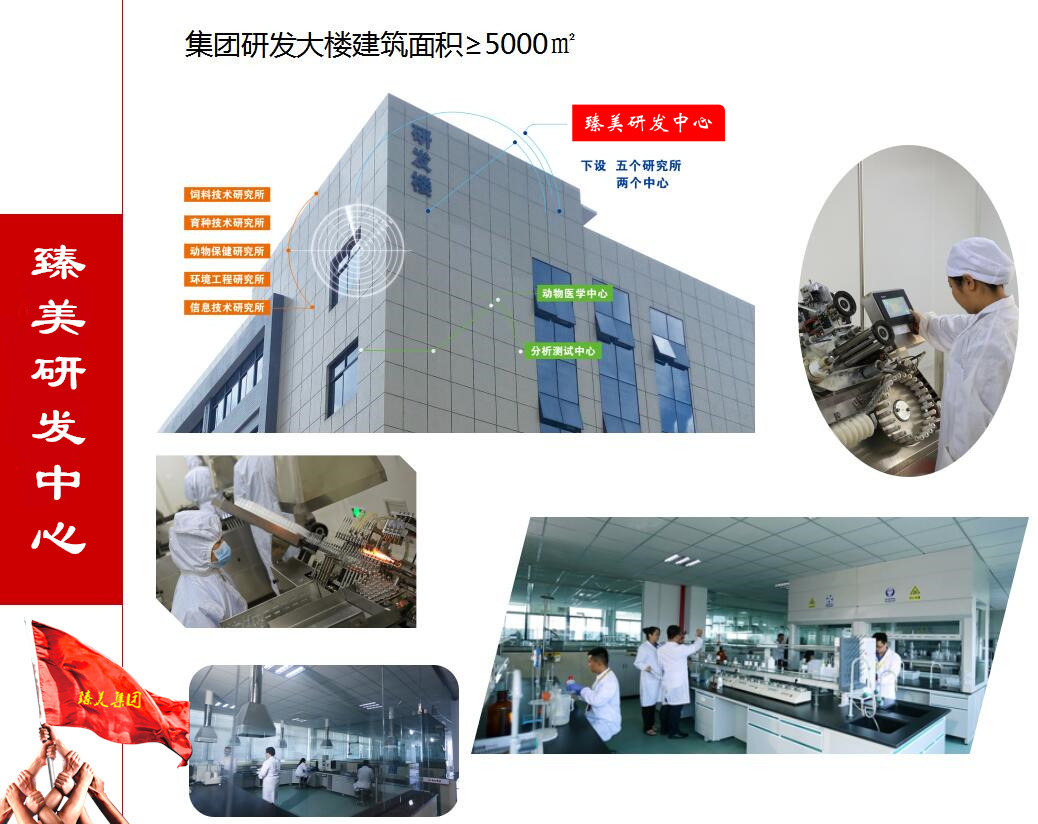 臻美集團 臻美集團