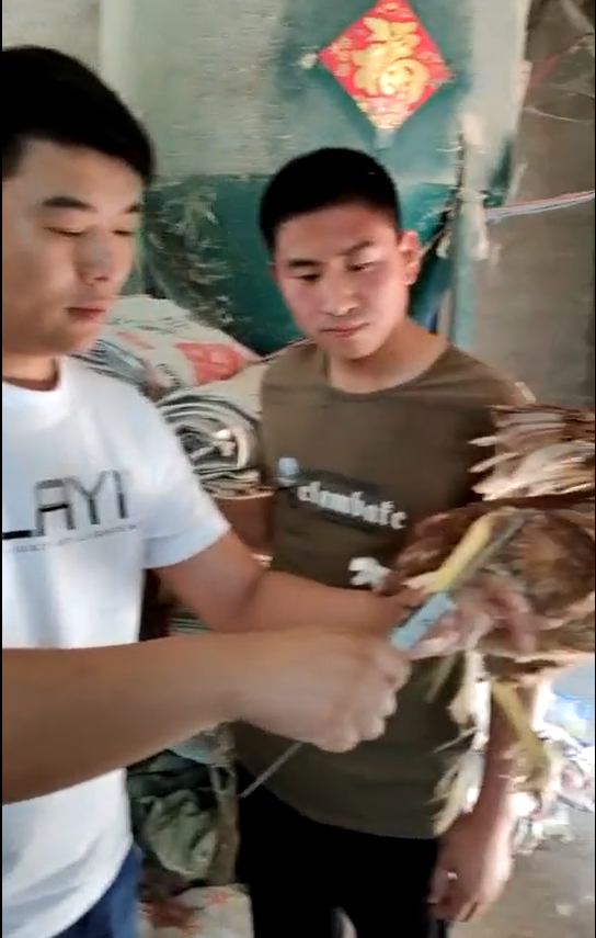 臻美農(nóng)牧集團(tuán)