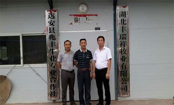 湖北豐瑞祥牧業有限公司