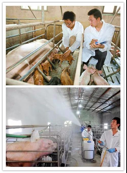 臻美農(nóng)牧集團(tuán)